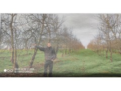 LE MAÎTRE François LE MAÎTRE François