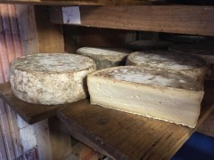 Tomme de kerbraz Tomme de kerbraz
